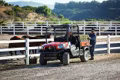 2025 Kubota RTV-X1120 Deluxe - Image 3