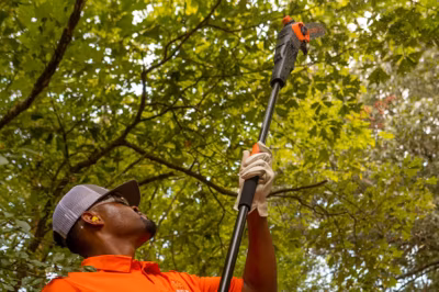 2026 Bad Boy 80V Brushless 10" Pole Saw 3