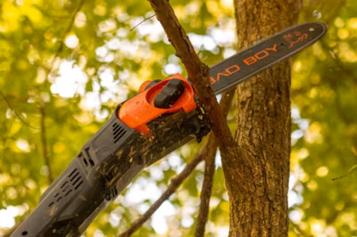 2026 Bad Boy 80V Brushless 10" Pole Saw 5