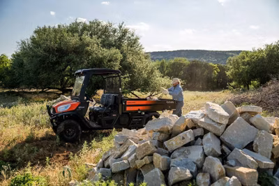 2025 Kubota RTV-X1130 2