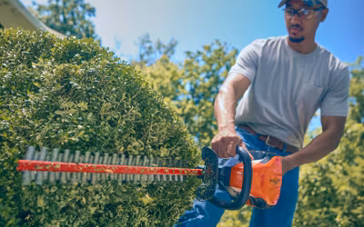 2025 Bad Boy 80V Hedge Trimmer (HT80B120A24) 3